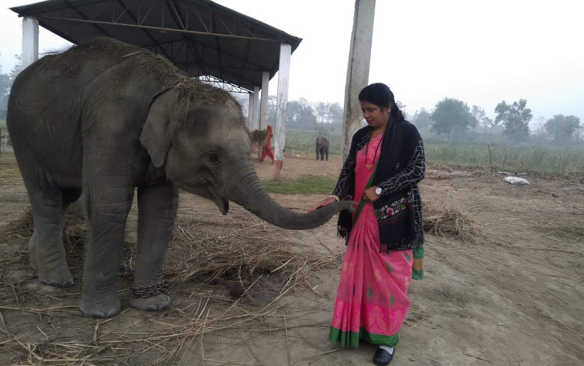 Advocate for the preservation of forest: Renu Devi Shah also known as 'Mother of Elephants'