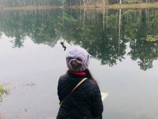 Wetlands: The Forgotten Key to Climate Stability 